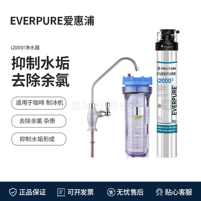 美国爱惠浦 Everpure直饮水净水器i2000(2）商用餐厅过滤器i20002
