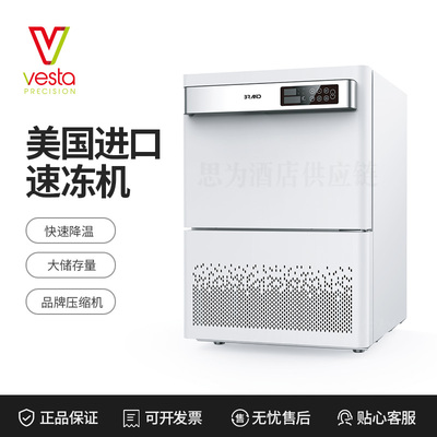 美国Vesta 商用速冻柜BF100/BF20//Frysta 1//Frysta 2