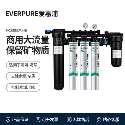 美国爱惠浦 Everpure直饮三联水净水器商用餐厅过滤器MC2三联